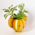 Porta Lápices / Macetero Kero - Imagen 6