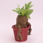 Macetero Mandrágora Harry Potter - Imagen 2