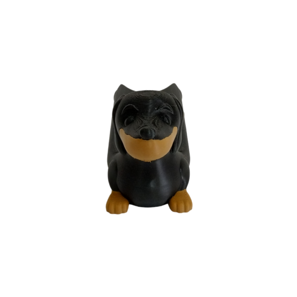 Porta Completo Salchicha - Imagen 5